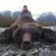 Alaska Interior Grizzly Hunting