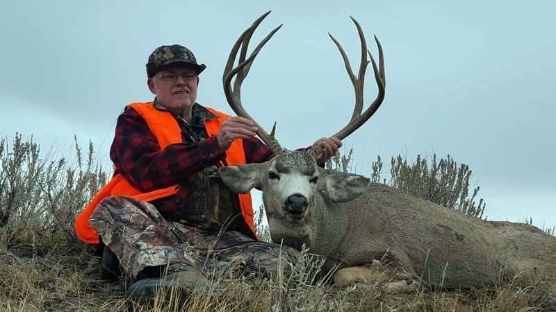 Montana Mule Deer Hunting » Outdoors International