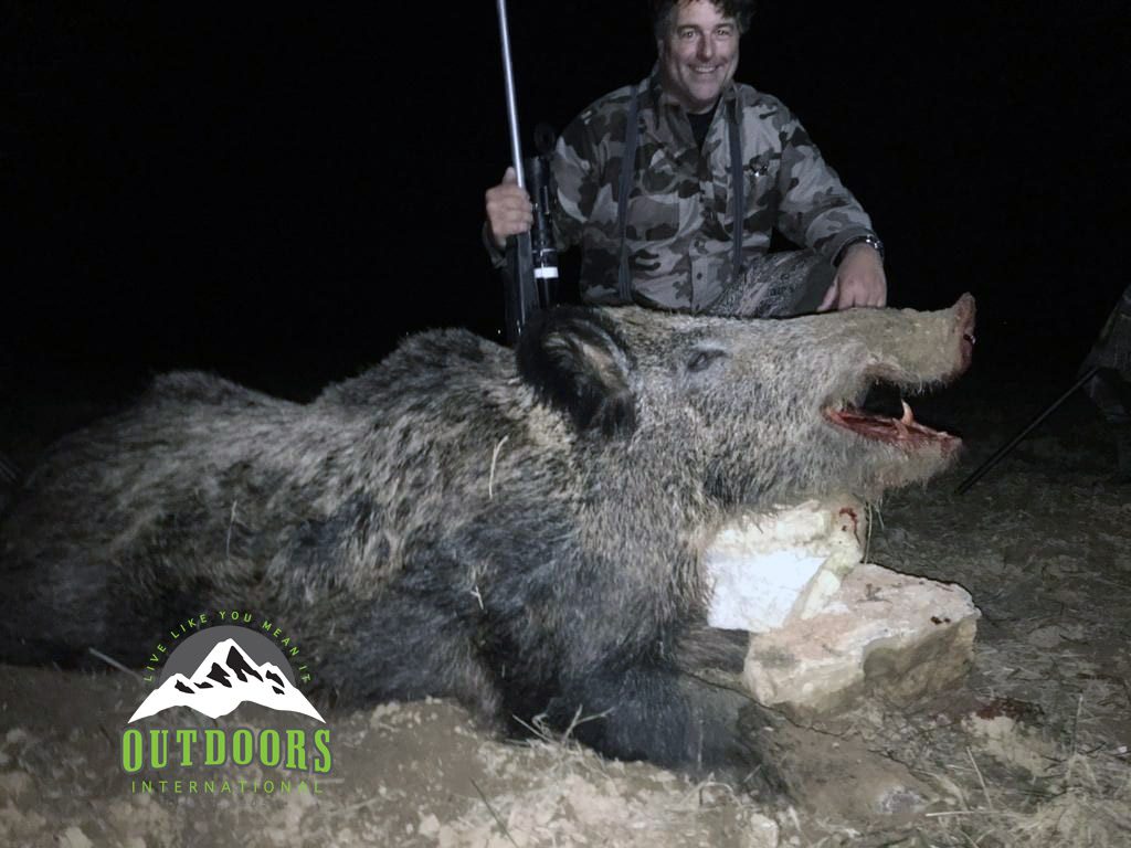 A giant wild boar from Turkey