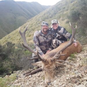 When Hunting Red Stag in New Zealand, your looking for at least a typical 6x6 or 12 point.