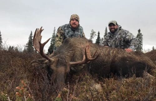 Dustin Moore Client RAA Alaska DIY Moose » Outdoors International Unguided moose