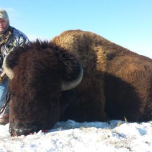 South Dakota bison hunting