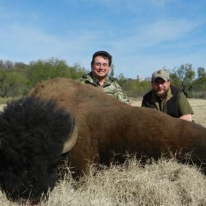 Texas Bison Hunting