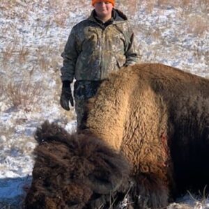 Texas Bison Hunt