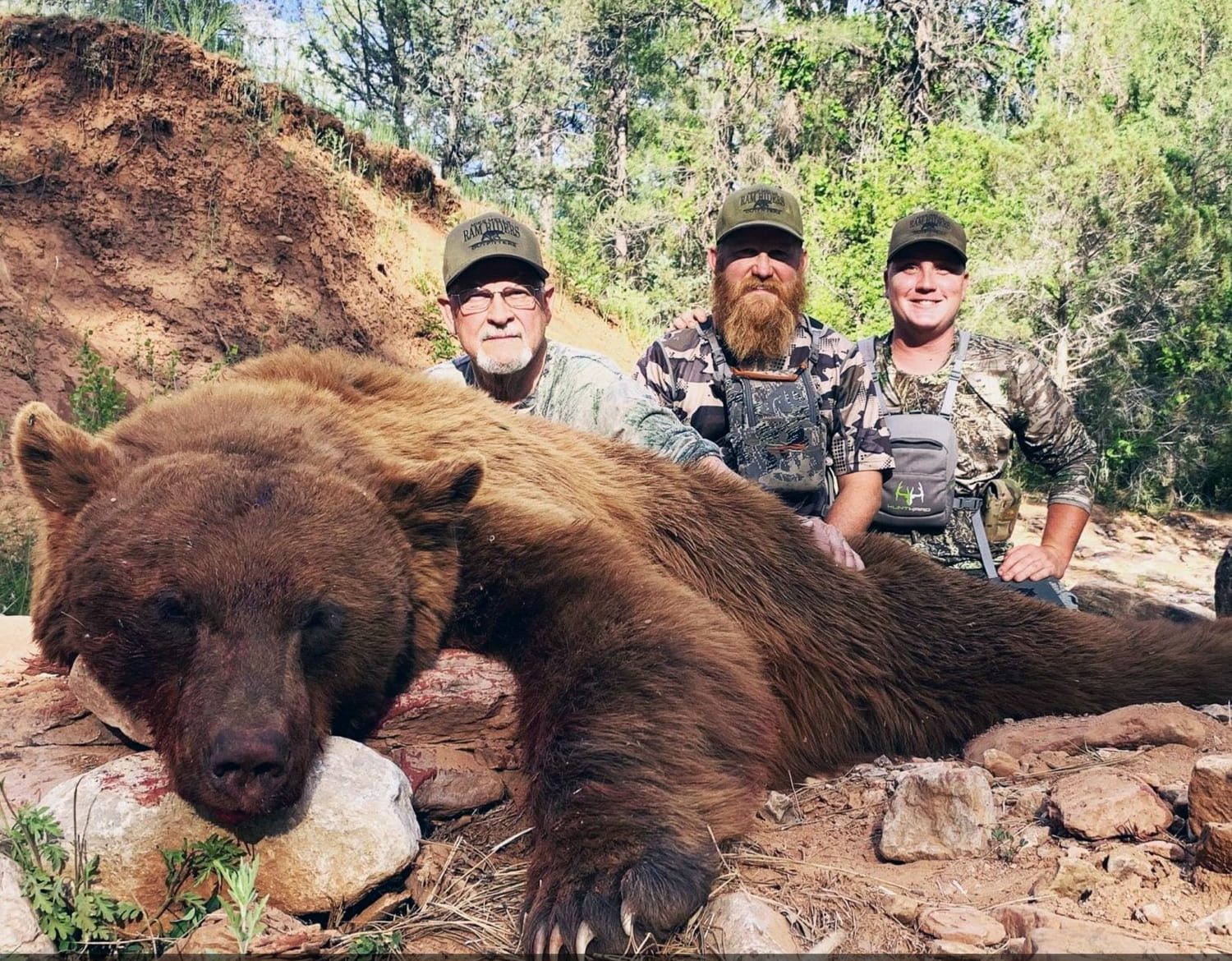 Black bear hunting Arizona can be very good!