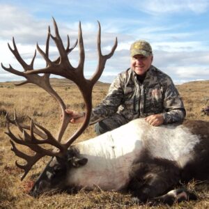 This bull has it all except for backs, but who cares?!