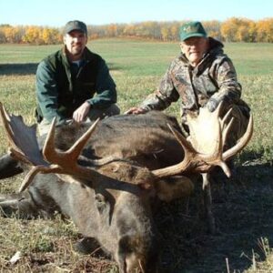 alberta moose hunt