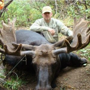 A giant velvet Shiras bull taken in Utah.