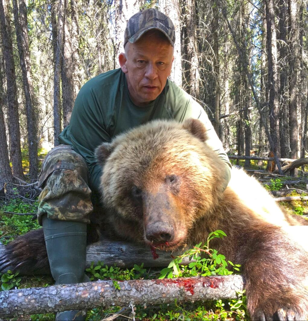 A nice Alaska brown bear