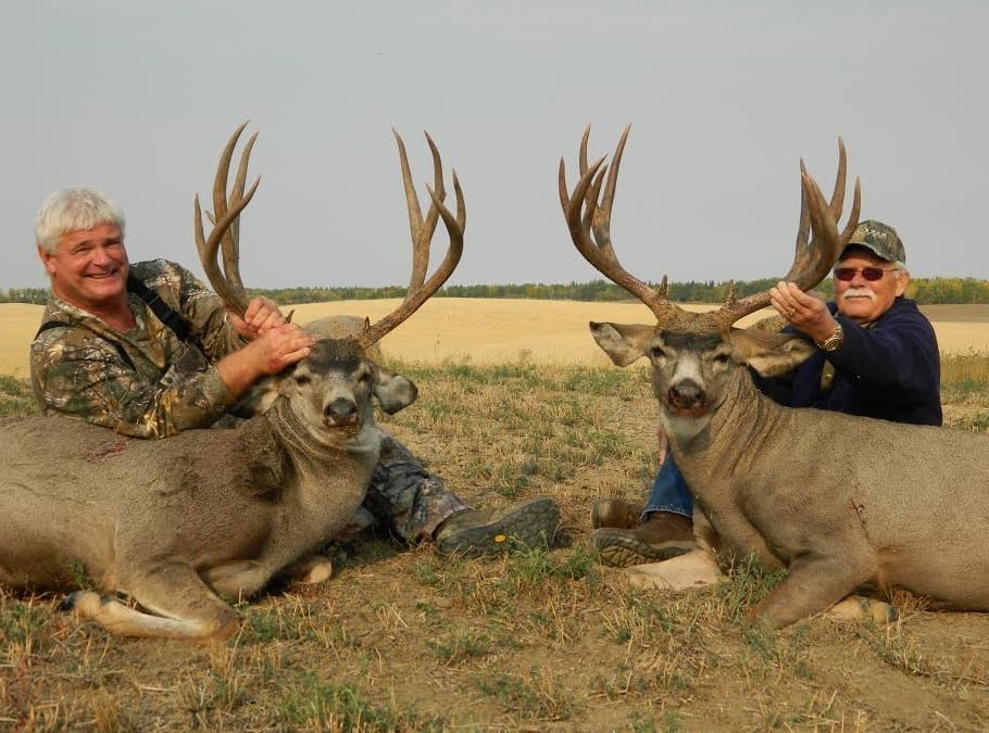 Our hunters have had great success with this Peace River Alberta Mule Deer Hunting outfitter.