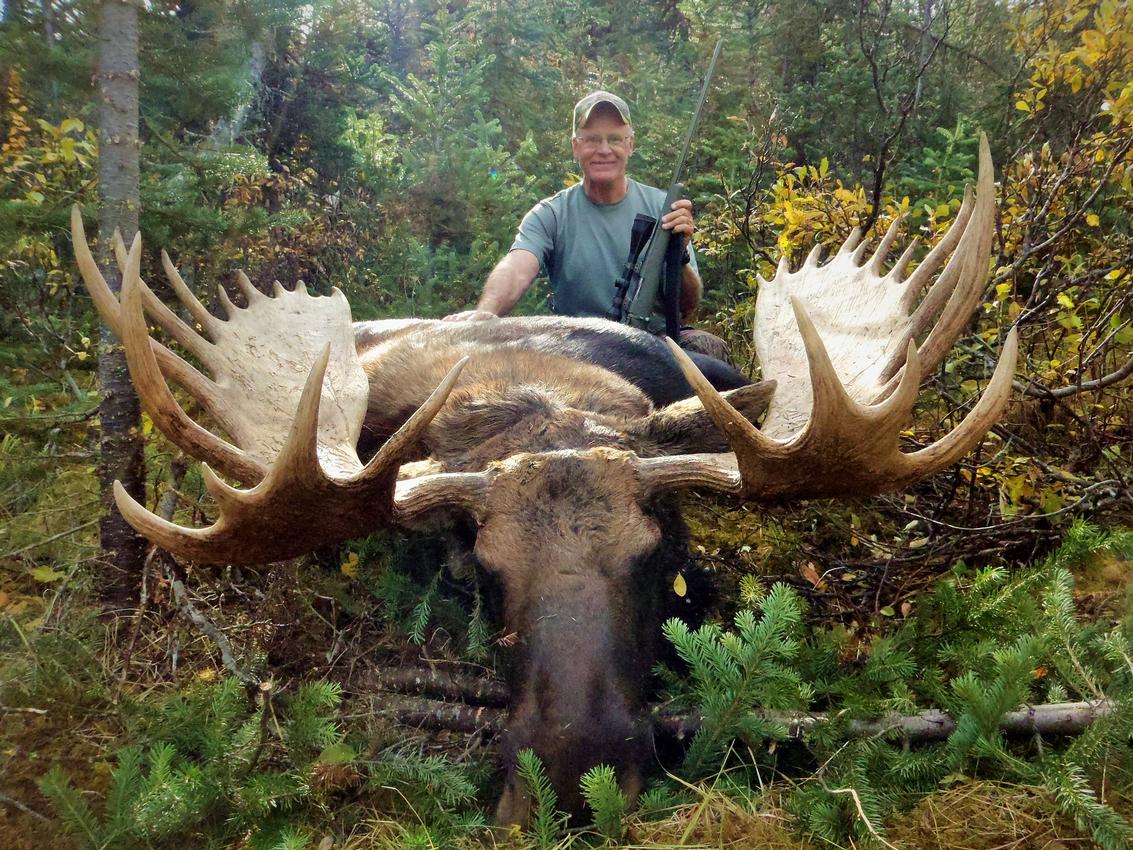 British Columbia moose hunting