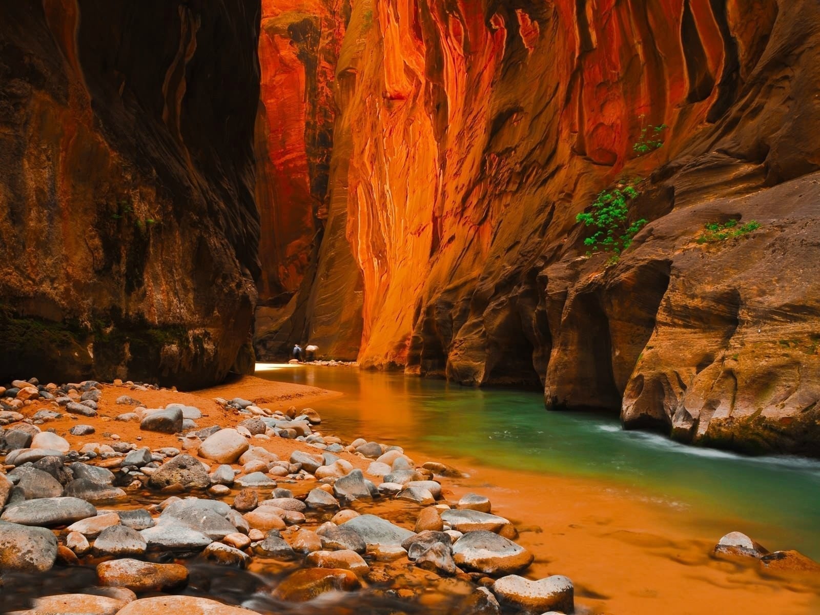 Utah Red Rock Canyon