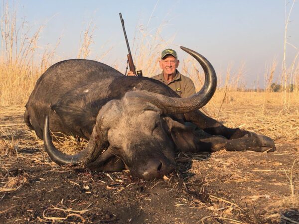 Mozambique cape buffalo hunting