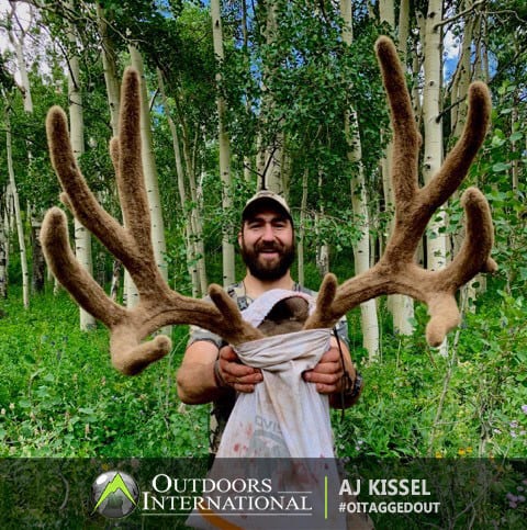 A 200 Inch Mule Deer