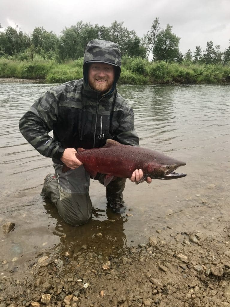 Nice Alaska Salmon