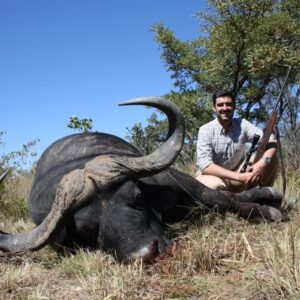 south african cape buffalo hunts