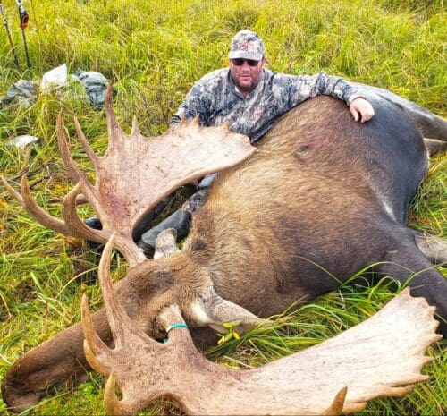 Clint with a giant bull