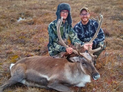 Great caribou hunting
