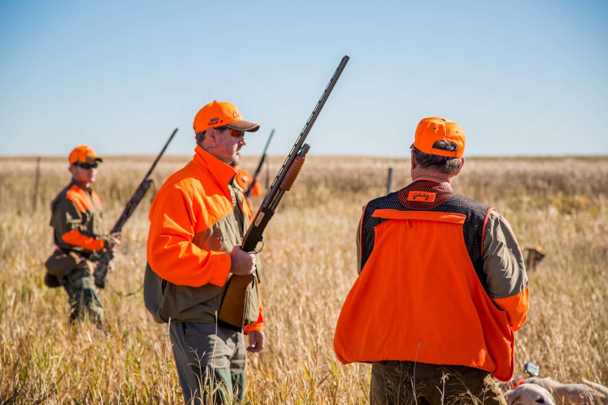 Pheasant hunting in South Dakota