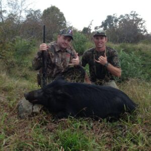Hog hunting in Hawaii