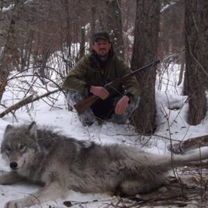 Trapping wolves in Idaho