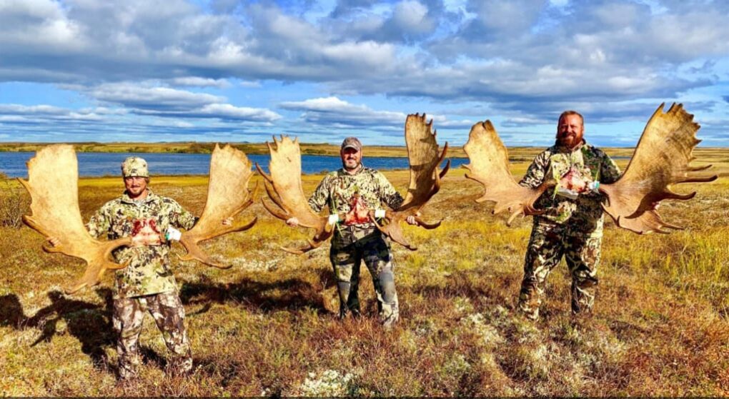 Three for three on trophy Alaska moose