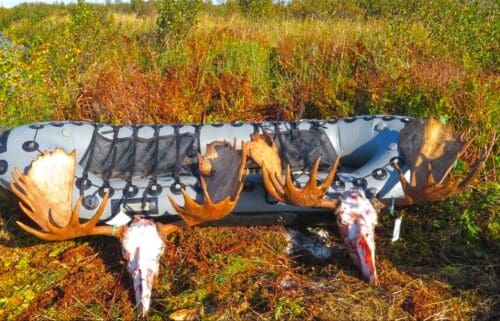 Eric Larson, Alaska Unguided Moose RAA Raft Client » Outdoors International Packing out moose on a raft.