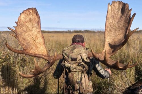 Nick Woods EXO DIY Alaska Moose RAA Client Packout » Outdoors International packing out a moose