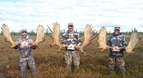 Kent-Goodman-Unguided-Moose-Client Alaska RAA 2019 » Outdoors International Kent Goodman group tagged out with three bulls.