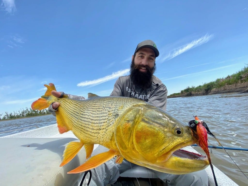 Golden Dorado River Cruiser » Exceptional Fly Fishing