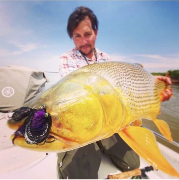 Argentina Golden Dorado Fishing with this outfitter is exceptional!