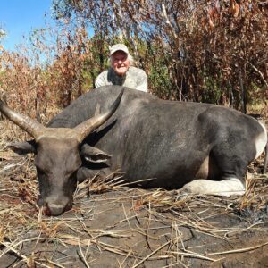 Australia is the only place in the world to hunt Banteng!