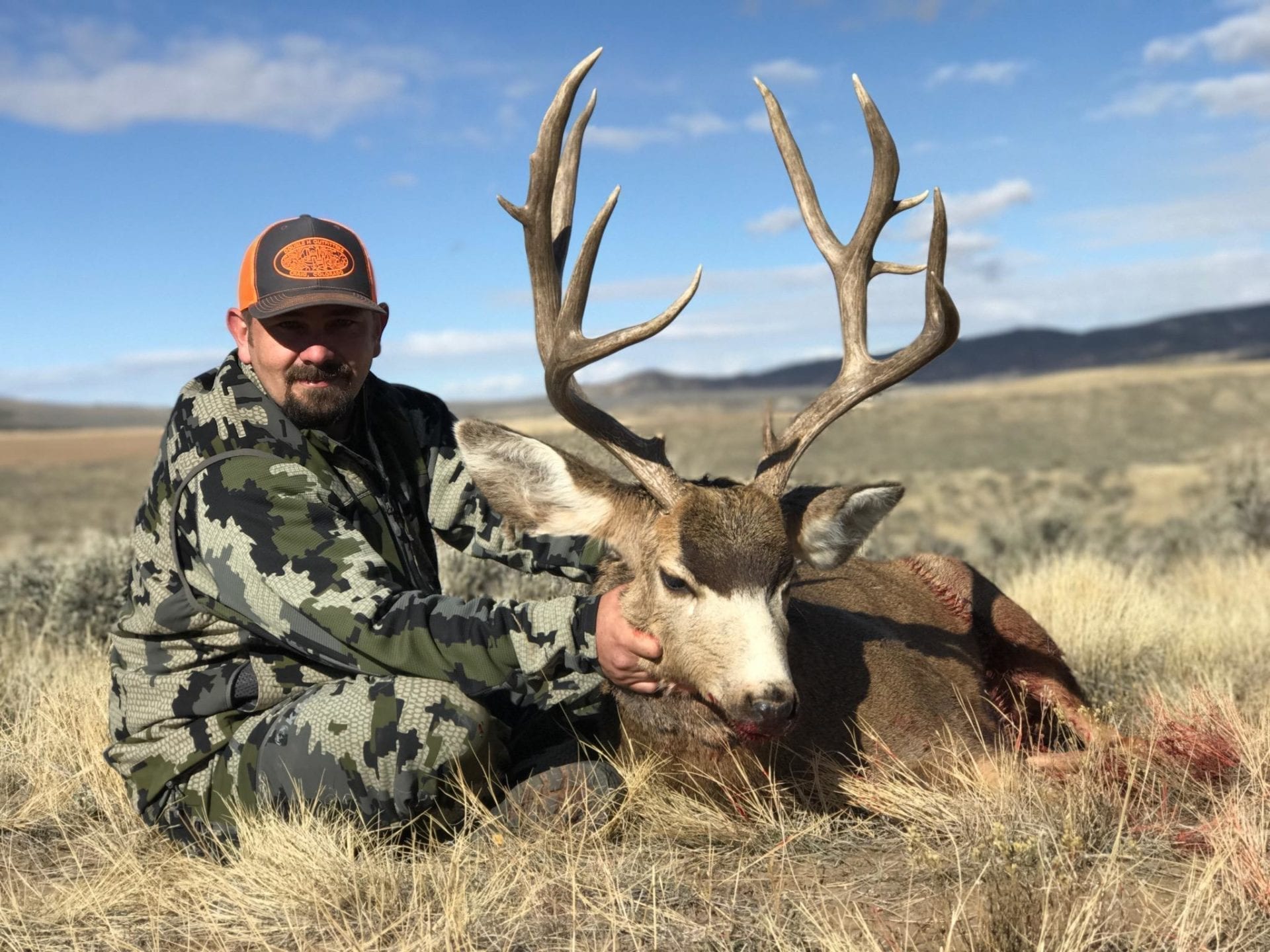 Colorado mule deer hunting