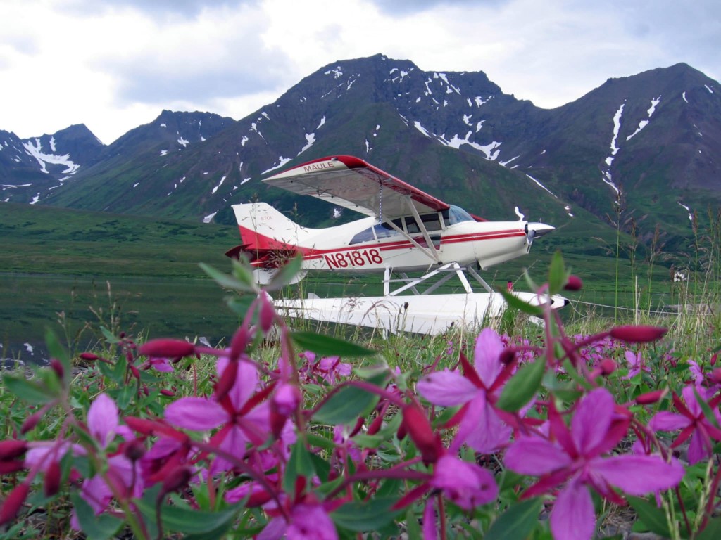 A remote Alaska wilderness adventure is the ultimate opportunity to experience the vast pristine wilderness of Alaska first hand!