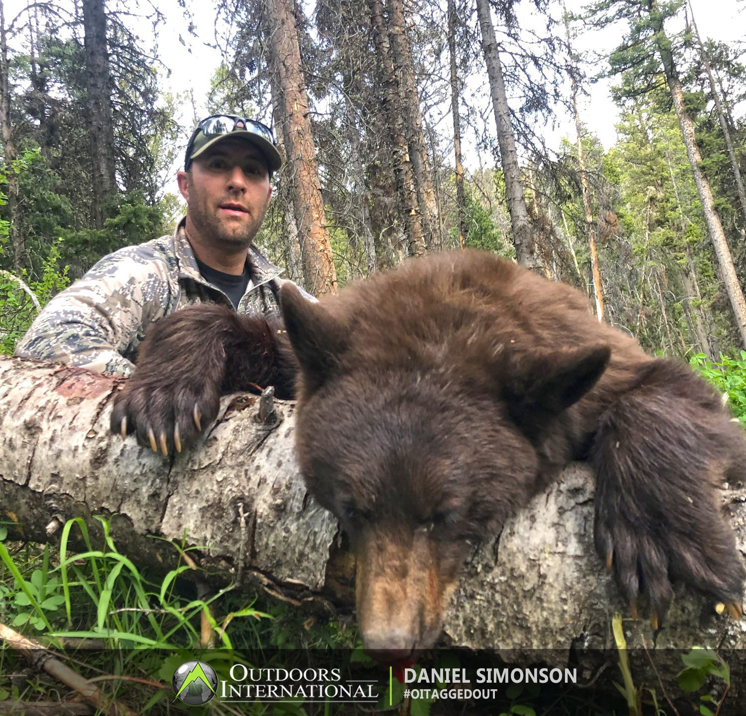 Wyoming Black Bear Hunt Report by Daniel Simonson OUTDOORS INTERNATIONAL