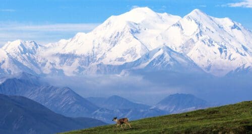 Denali National Park in Alaska