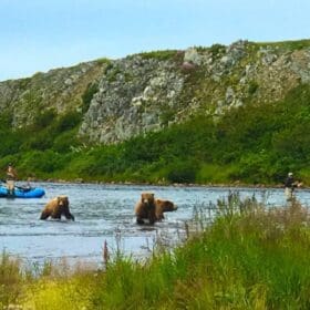 Fishing with the bears