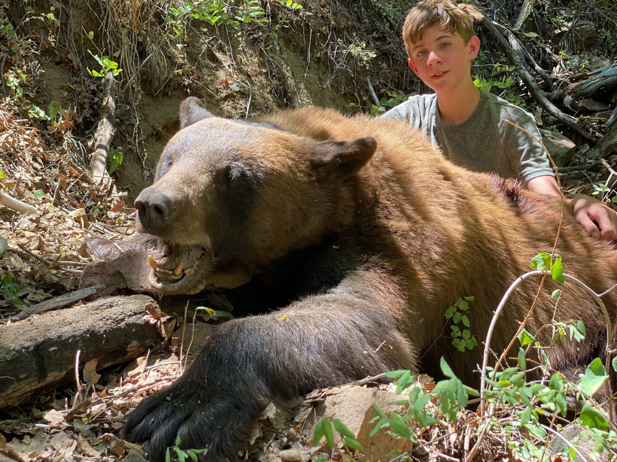 Outdoors International client with a great Arizona black bear.