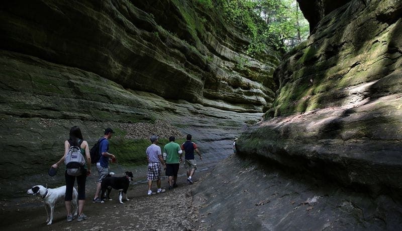 There are many hiking trails available throughout the state, from easy walks to more challenging treks.