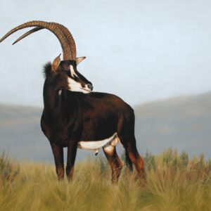 Sable Hunts