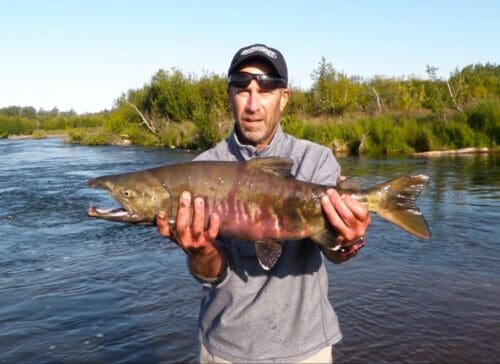 Alaska float fishing Salmon