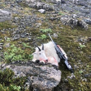 A successful mountain goat hunt