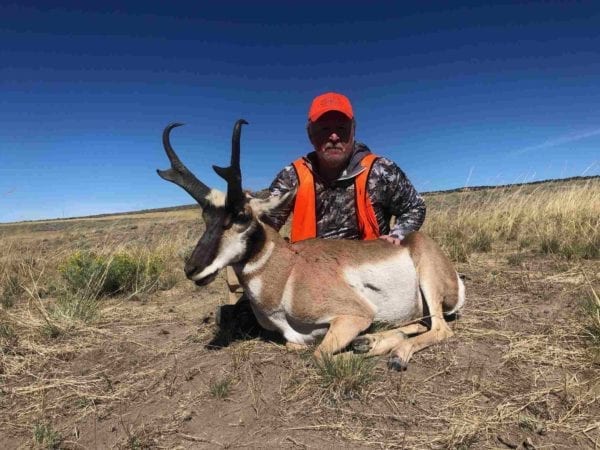 Pronghorn Antelope Hunting in Colorado