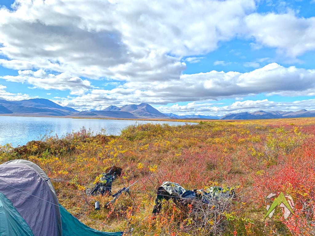 Jon Lachowitzer Client Alaska Caribou Scenery AA1 2020