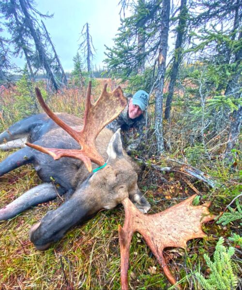 A great DIY moose hunt
