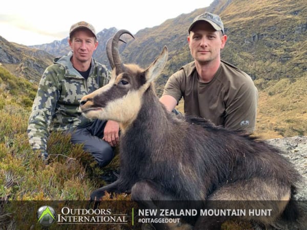 Chamois have incredible eyesight and can be a challenge to stalk.
