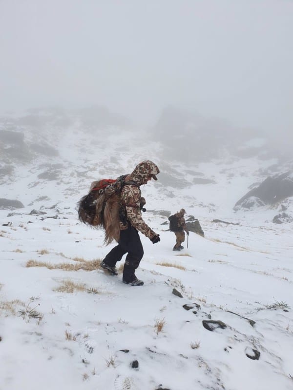 Packing a tahr out of the high country.
