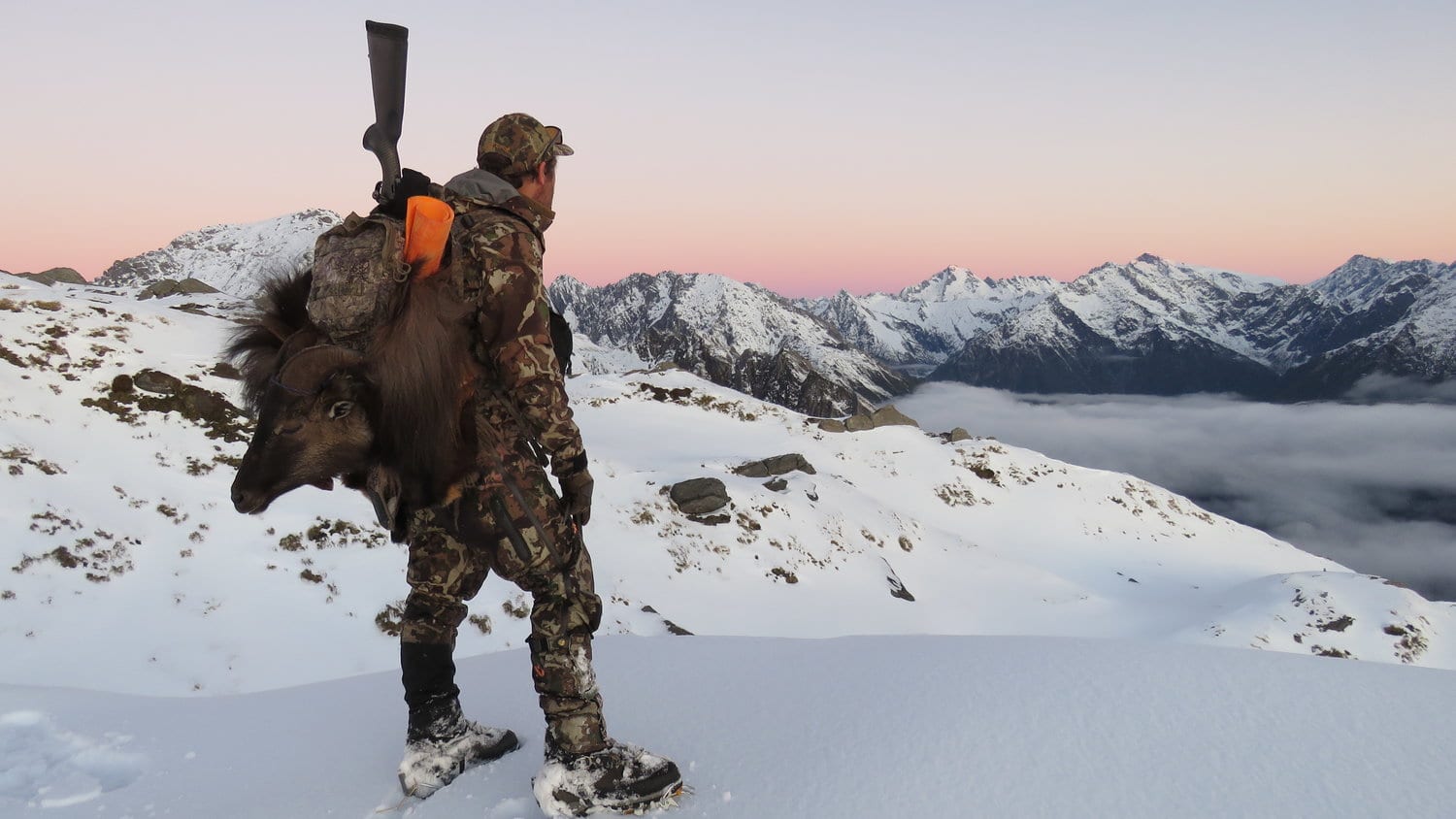 Hunter packing out a tahr during the winter New Zealand hunting season.