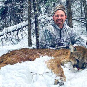 Idaho mountain lion hunting