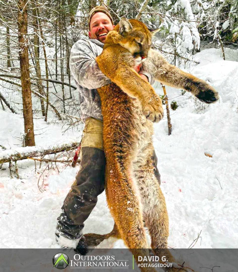 » Outdoors International A great Idaho mountain lion hunt with a top notch outfitter.